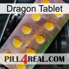 Dragon Tablet new11